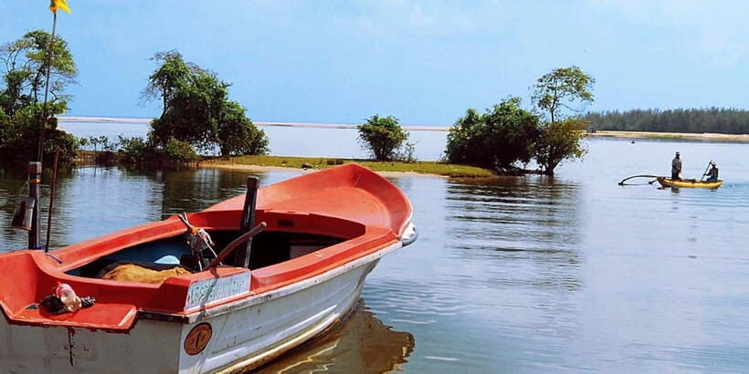 Madu River Boat Tour and Cinnamon Garden visit - Key things that make this tour worth your time