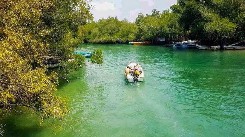 Madu River Boat Tour and Cinnamon Garden visit - Price and value: is $29 fair for what you get?