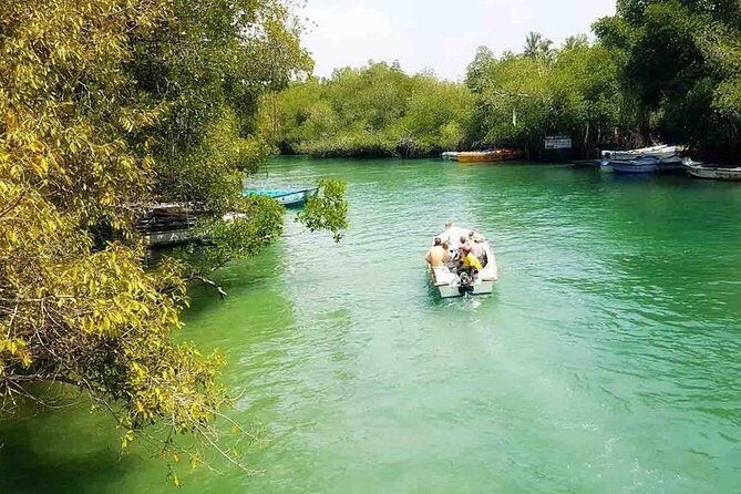 Madu River Safari at Balapitiya - Timing: 1 to 2 hours is short on purpose