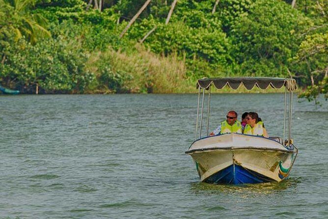 Madu River Safari at Balapitiya - The boat safari through mangrove marshes: what you’re really seeing