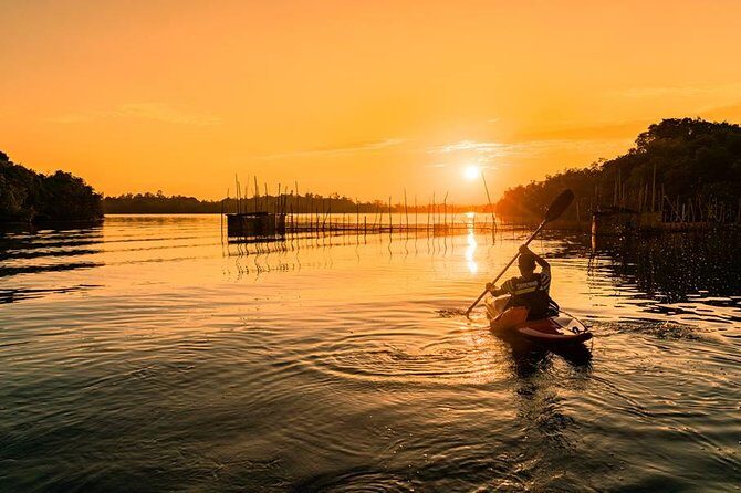 Madu River Sunrise Mangrove Kayaking - What I like most (and what to watch for)