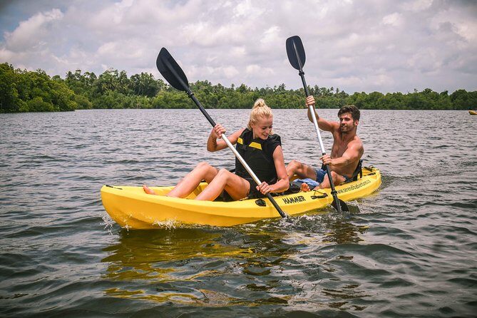 Madu River Sunrise Mangrove Kayaking - Key points to know before you go
