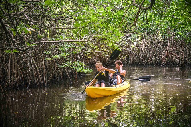 Madu River Sunrise Mangrove Kayaking - Price and Value: Is $110 Worth a 3-Hour Morning?