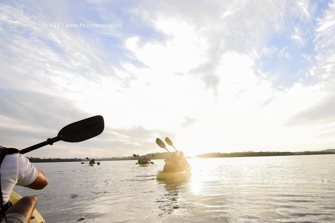 Madu River Sunrise Mangrove Kayaking from Bentota - Key things I’d circle before you go
