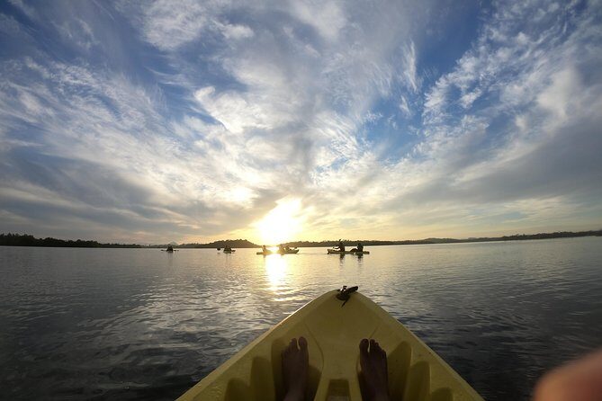 Madu River Sunrise Mangrove Kayaking from Bentota - The Buddhi-guided safari stops on the Madu River