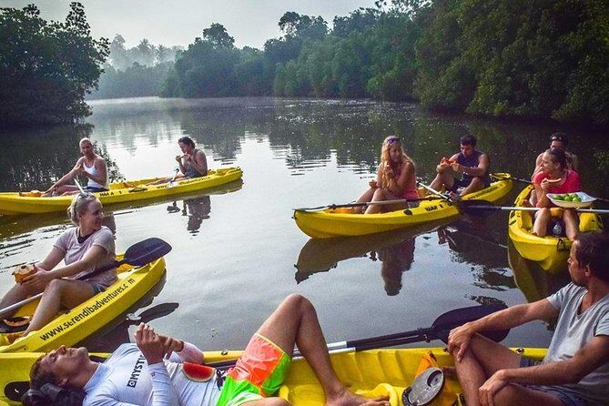 Madu River Sunrise Mangrove Kayaking from Bentota - Mangrove wildlife and the over-500-species wetland reality