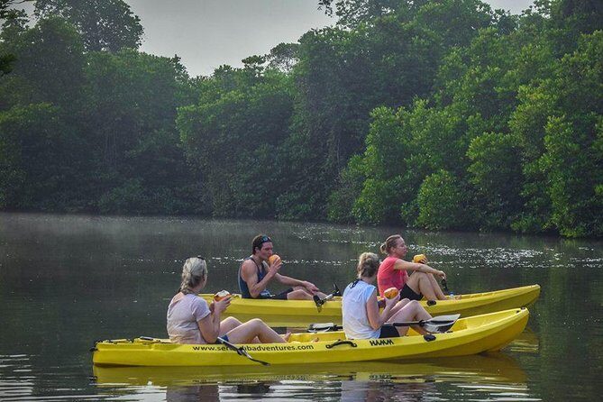 Madu River Sunrise Mangrove Kayaking from Bentota - Price and group size: is $125 good value?