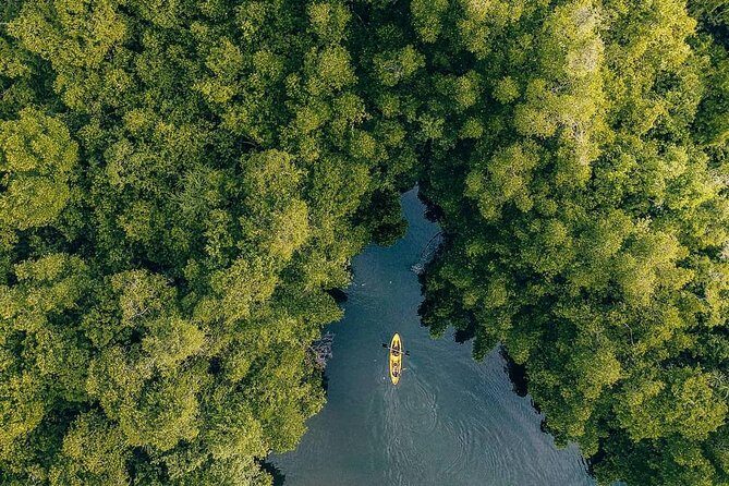 Madu River Sunrise Mangrove Kayaking - Where You Start (River Loft) and How the Morning Is Set Up