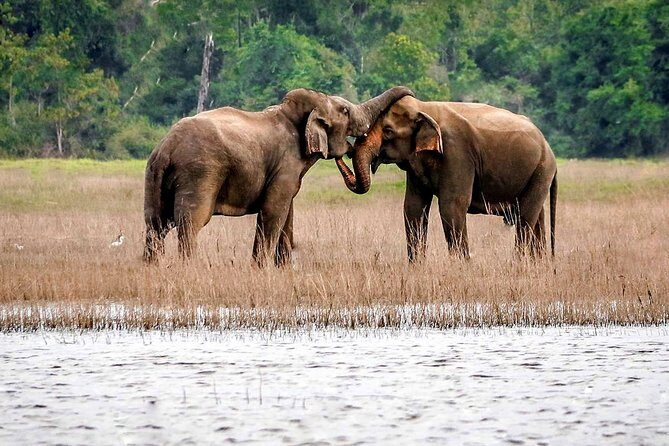 Maduru Oya National Park Private Safari with Naturalist - Maduru Oya in Sri Lanka’s dry zone: where the sightings come from