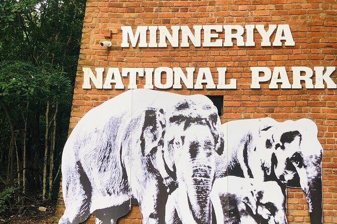 Minneriya Half Day Safari - The jeep safari experience: comfort, views, and what to wear