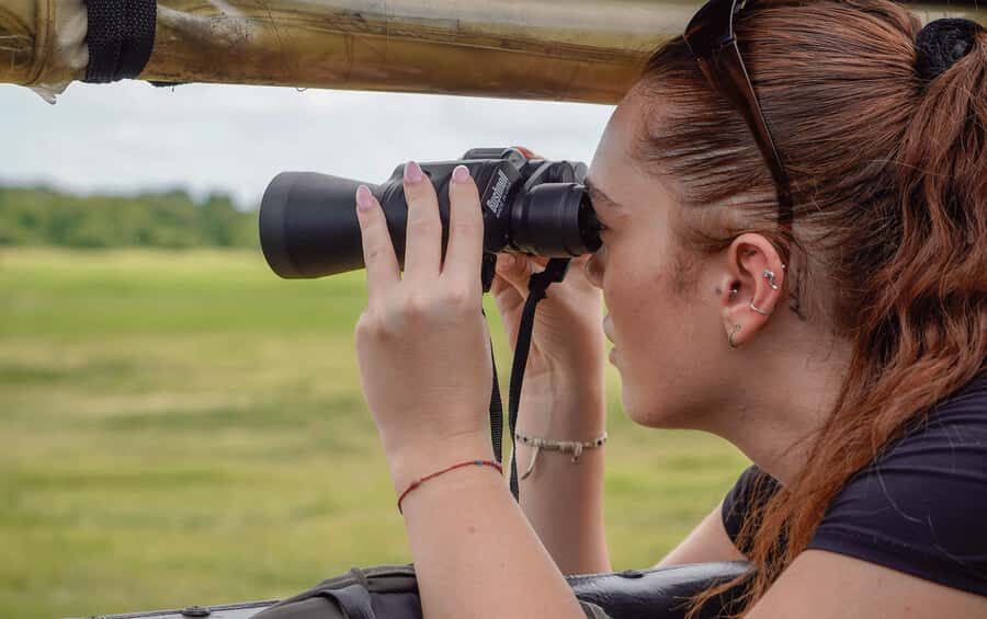 Minneriya: Minneriya National Park Private Elephant Safari - The elephant viewing: close enough for real detail