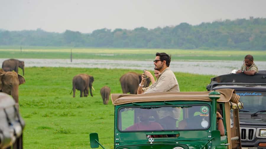 Minneriya: Minneriya National Park Private Evening Safari - Key points to know before you go