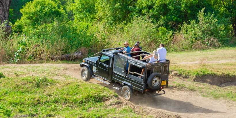 Minneriya: Minneriya National Park Private Safari - Price and value: what you pay, plus the elephant in the budget