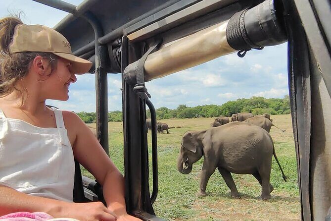 Minneriya National Park Elephant Jeep Safari Private Tour - Key highlights to know before you go