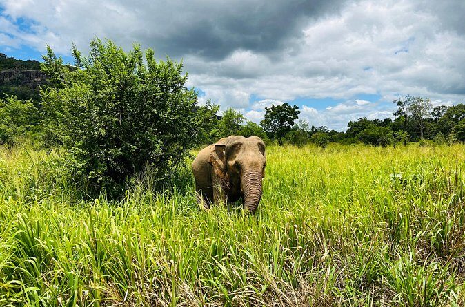 Minneriya National Park Elephant Safari from Sigiriya - Stop 2: Sigiriya Rock Fortress views, depending on timing