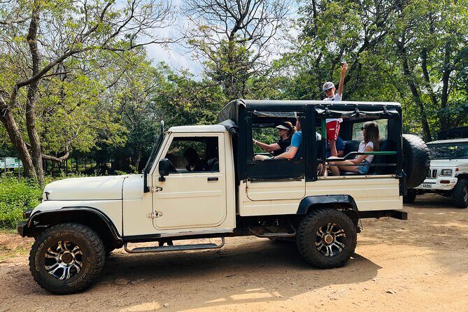 Minneriya National Park Elephant Safari from Sigiriya - What makes the guides and jeep setup matter