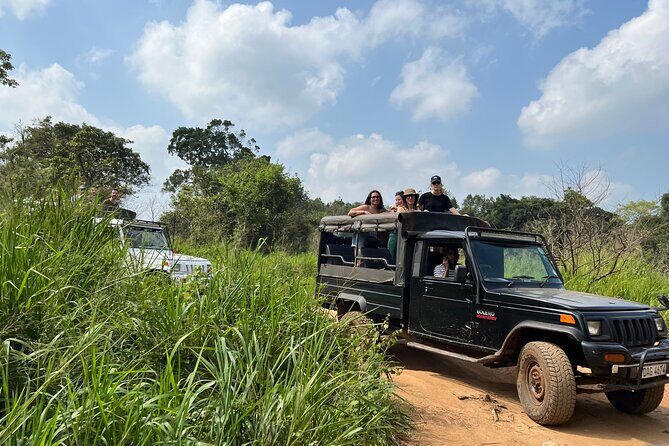 Minneriya National Park Elephant Safari from Sigiriya - Practical tips so your day goes smoothly