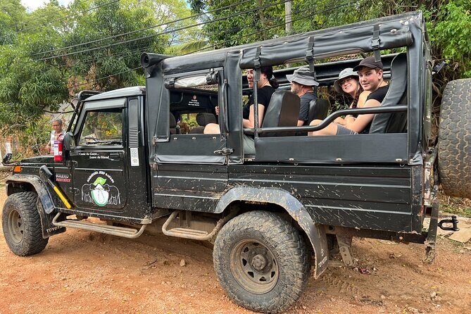 Minneriya National Park Elephant Safari Tour - What else you might spot: birds, monkeys, and the “extras”
