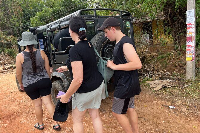 Minneriya National Park Elephant Safari Tour - Private tour value: why “just your group” matters