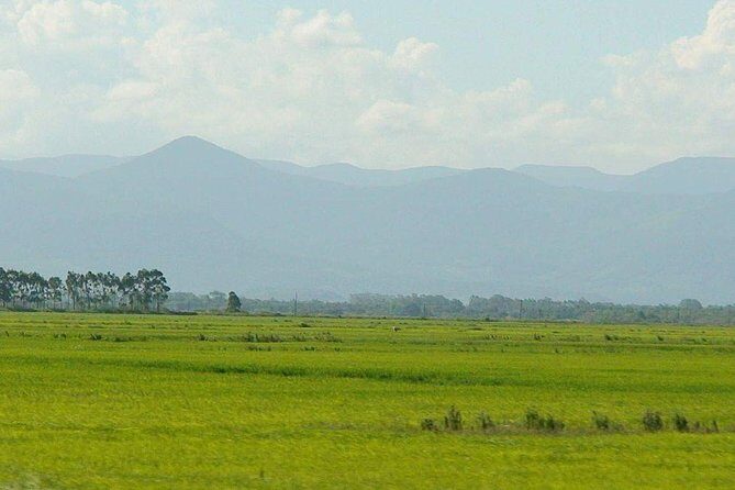 Minneriya National Park : Private Safari - The elephant experience: what to watch during your 3 hours