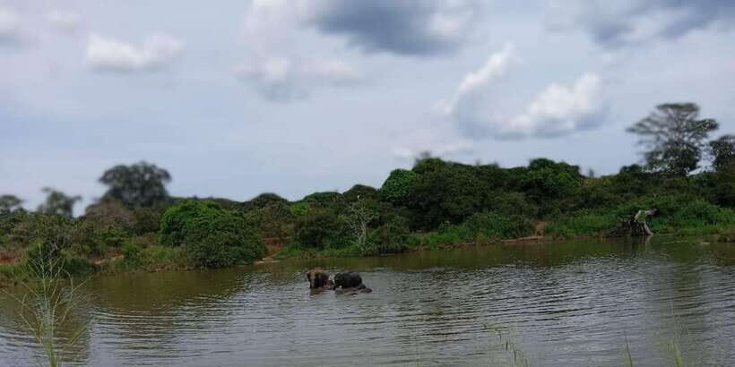 Minneriya National Park Safari - Entrance Fee Included - What to bring for a sunny, dusty safari day