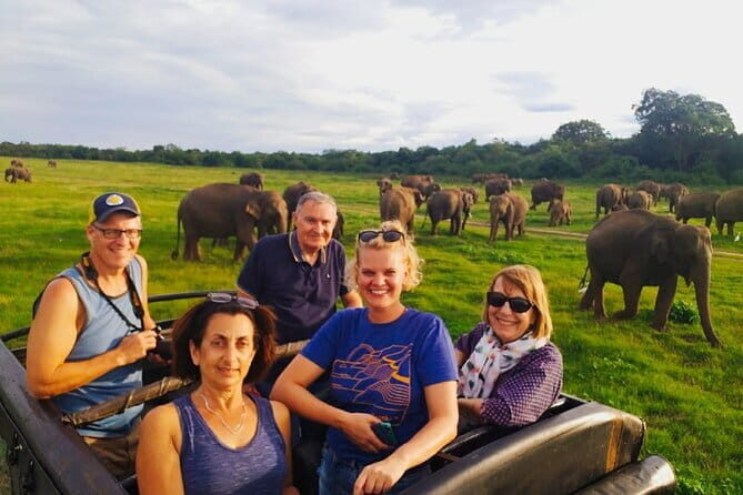 Minneriya National Park Safari [private , full package] - Key things to know before you go