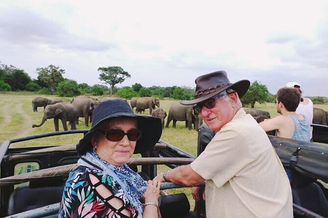 Minneriya National Park Safari [private , full package] - More than elephants: wildlife you can look for on the same drive