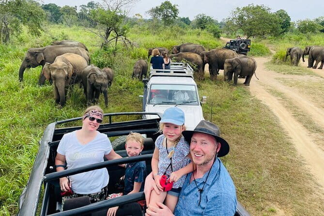 Minneriya National Park Safari - Private Jeep with Hotel Pickup - Quick hits before you go