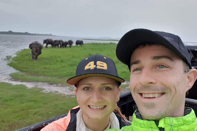 Minneriya National Park Safari - Private Jeep with Hotel Pickup - Elephant gathering at Minneriya: what you’re actually chasing