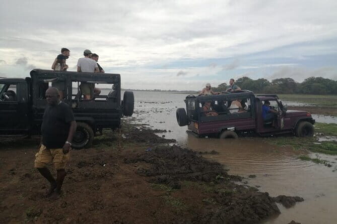 Minneriya National Park Safari - Private Jeep with Hotel Pickup - Hotel pickup from Habarana: less hassle, more daylight for wildlife