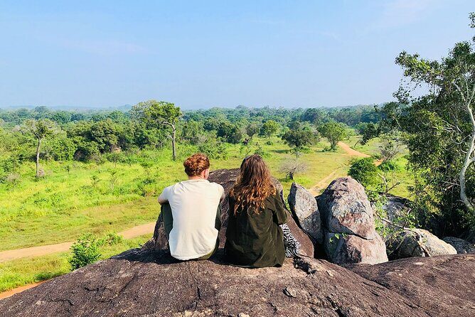 Minneriya National park Safari Sri Lanka - Elephant herds, leopard hopes, and how your guide improves the odds