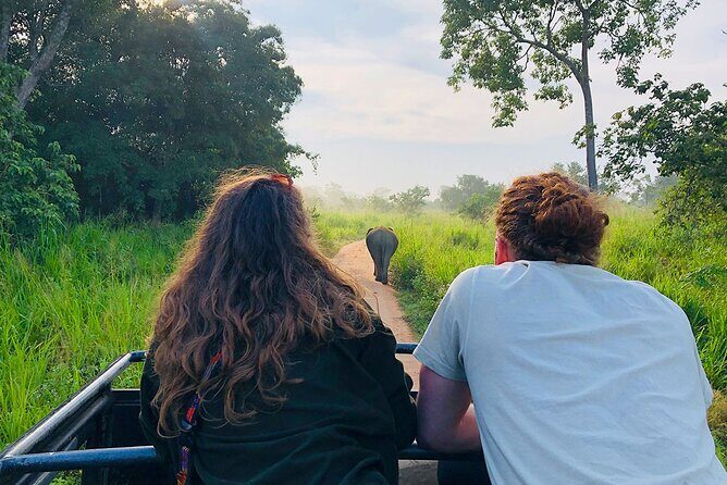 Minneriya National park Safari Sri Lanka - The jeep ride reality: comfort, road conditions, and photo tips