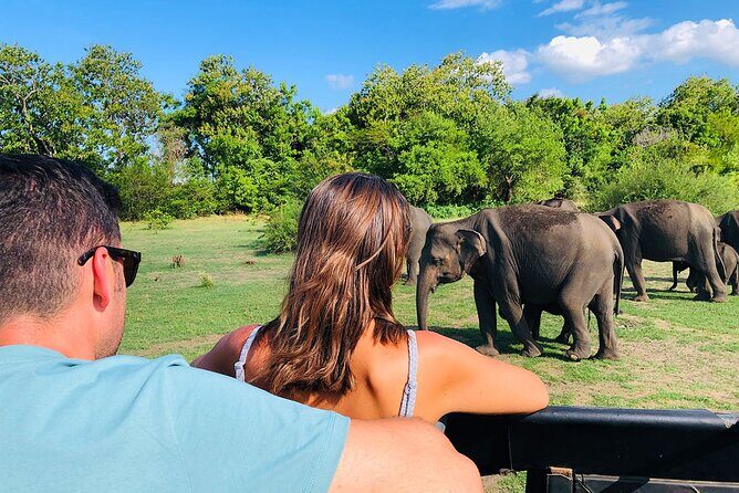 Minneriya National park Safari Sri Lanka - What’s included in this Minneriya safari (and what to pay for separately)