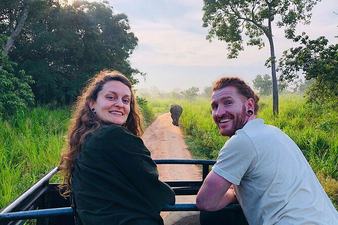 Minneriya National park Safari Sri Lanka - Private tour format: who it suits best