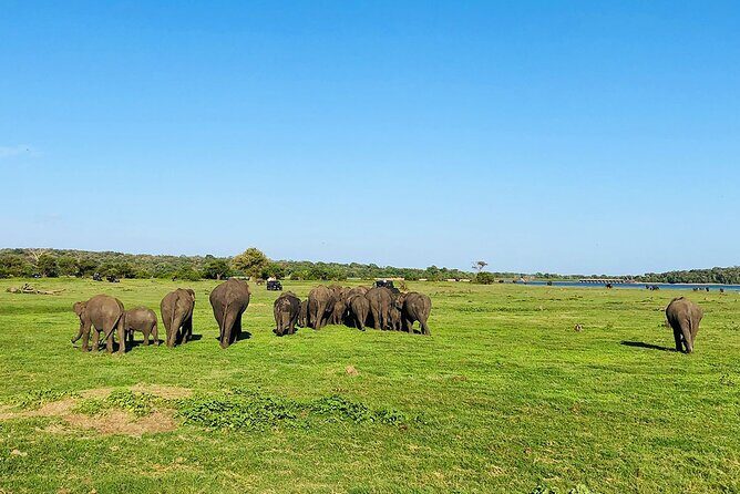 Minneriya National park Safari Sri Lanka - What to bring for a smooth safari day