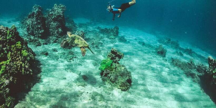 Mirissa: Snorkeling Experience with Turtles - Mirissa Turtle Snorkeling: why this beats a generic beach day