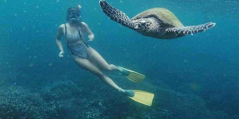 Mirissa: Snorkeling Experience with Turtles - Gear, photos/videos, and why $29 feels fair