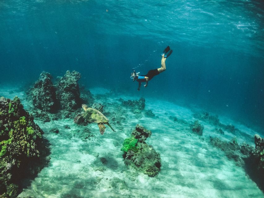 Mirissa: Snorkeling Experience with Turtles - Mirissa beach time: what you can do before/after