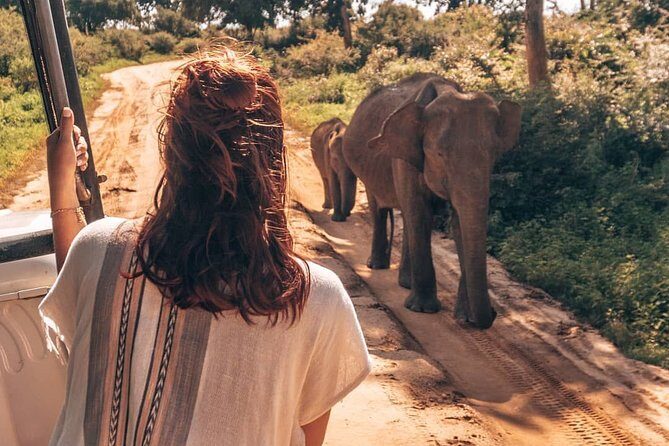 Mirissa to Ella Shuttle & Udawalawe Safari Drive with Breakfast - The jeep safari and experienced tracker: how your odds actually improve