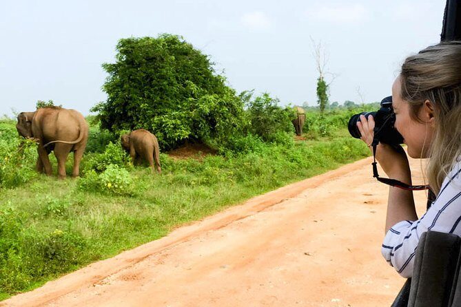 Mirissa to Ella Shuttle & Udawalawe Safari Drive with Breakfast - Who this tour fits best (and who might want another plan)