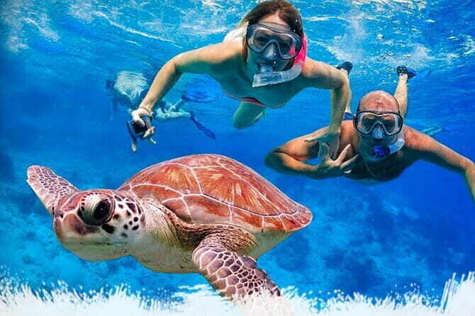 Mirissa Unforgettable Snorkeling Experience with Turtles - Key highlights to know before you go