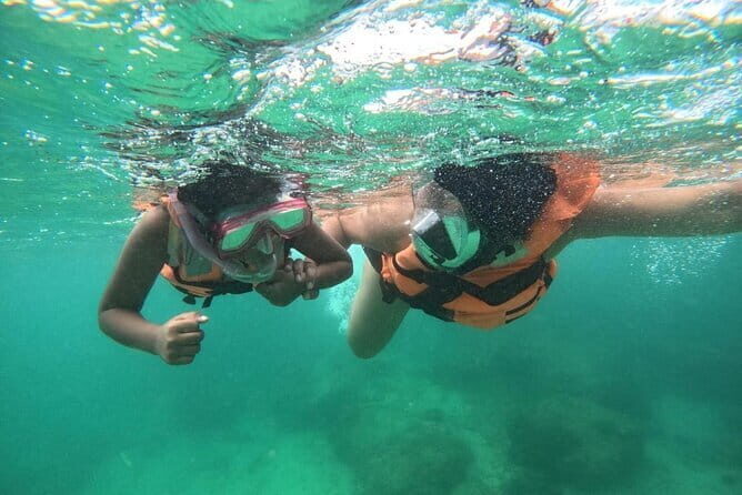 Mirissa Unforgettable Snorkeling Experience with Turtles - Why Mirissa turtle snorkeling feels different near Galle