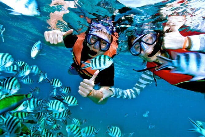 Mirissa Unforgettable Snorkeling Experience with Turtles - What you can realistically expect to see: turtles, fish, and the “reef size” factor