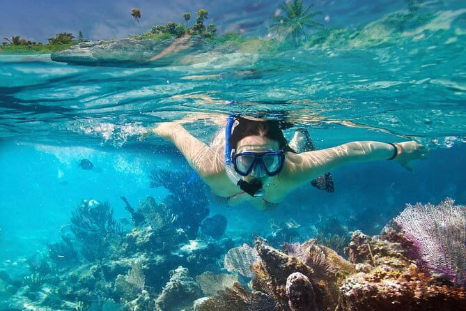 Mirissa Unforgettable Snorkeling Experience with Turtles - Price and value: is $24 a good deal or not?