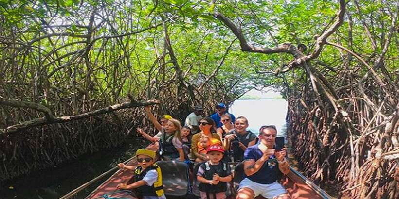 Mirissa/Weligama/Galle: Galle & Bentota Coastal Day Tour - Key highlights worth your time