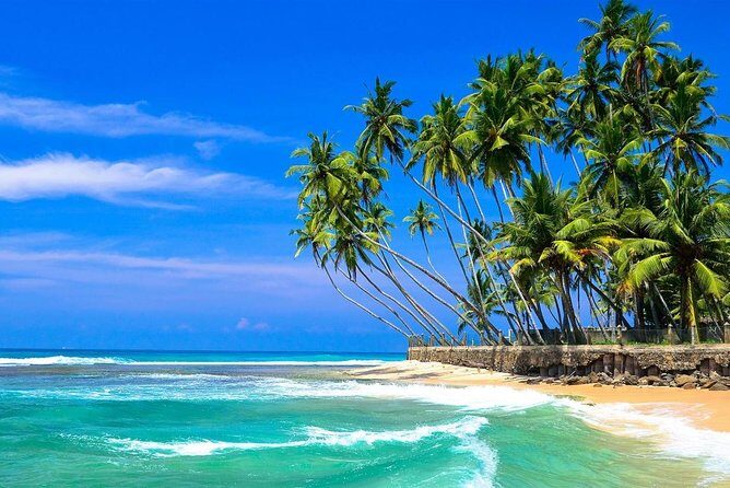 Mirissa/Weligama to Colombo Airport Private Taxi Transfer - Why a Mirissa/Weligama Airport taxi is the smart move