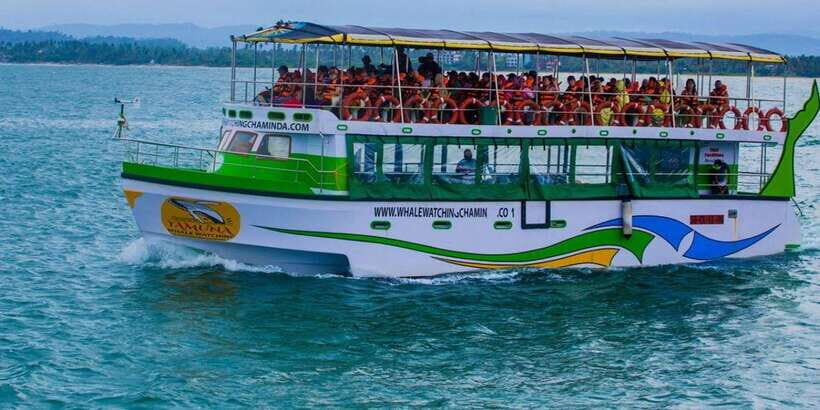 Mirissa: Whale & Dolphin Watching Cruise with Breakfast - Who This Cruise Works Best For