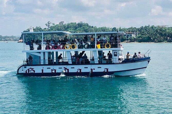 Mirissa Whale & Dolphin Watching Cruise with Geeth’s Crew - Key highlights to know before you go