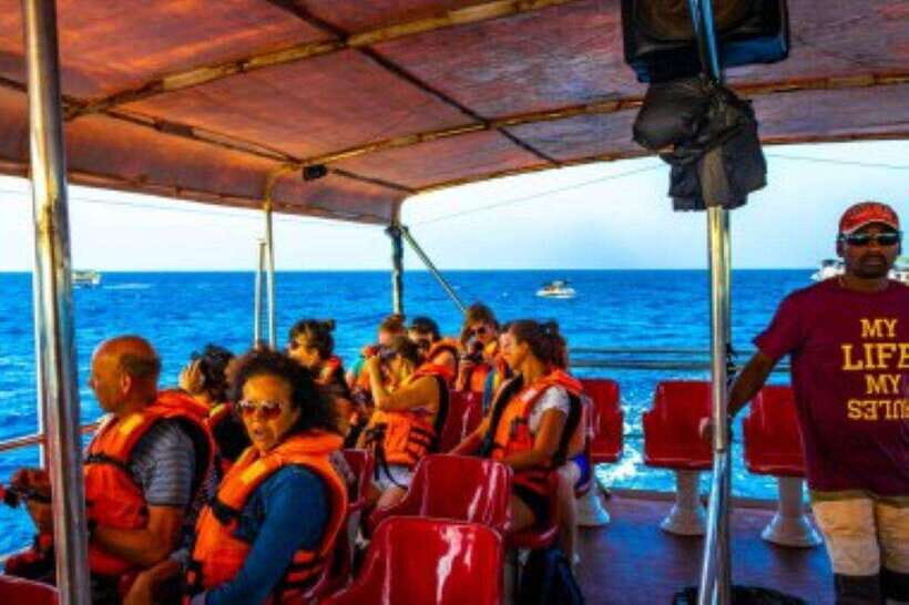 Mirissa: Whale Watching Cruise - Why Mirissa’s south coast is the whale-watching sweet spot (Nov to Apr)