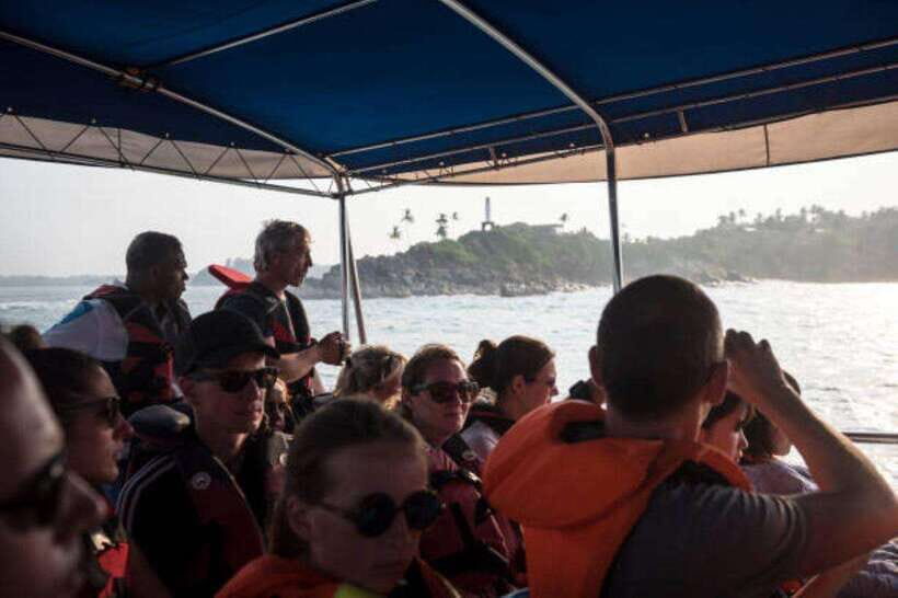 Mirissa: Whale Watching Cruise - Getting the once-in-a-lifetime whale photo (and keeping your expectations sane)